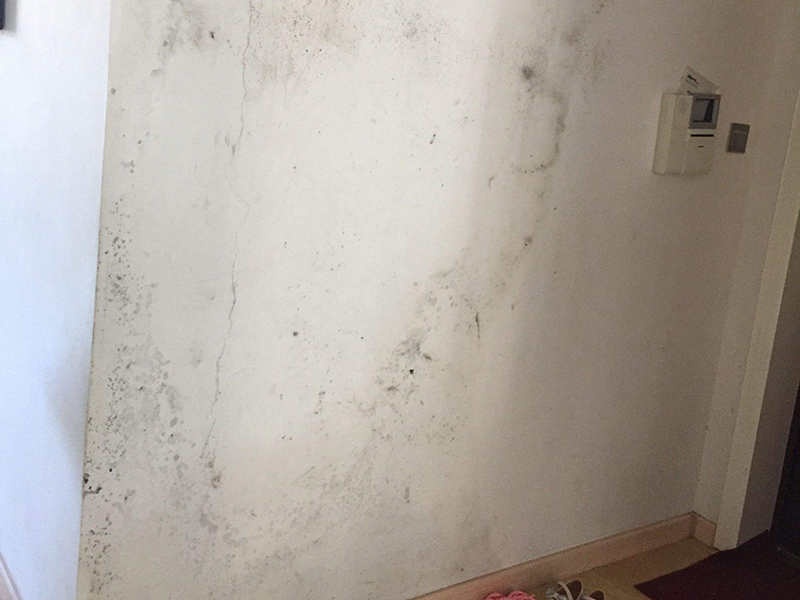 這里有解決壁紙、乳膠漆、墻板等墻面翻新的簡便方法(圖4)