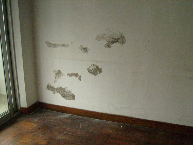二手房墻面發(fā)霉嚴重-二手房精裝房重新刷乳膠漆要鏟墻皮嗎？(圖4)